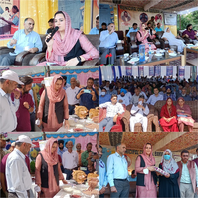 Baramulla among top 3 districts in Grievances redressal: Dr Sehrish