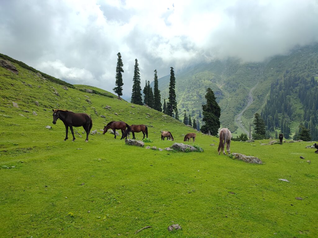 Lidder Valley; The Most Stunning Side Valley Of Kashmir