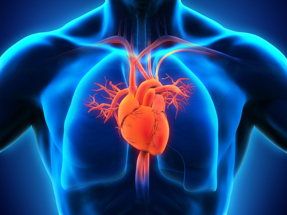 CARDIOVASCULAR DISEASES—HEART FAILURE