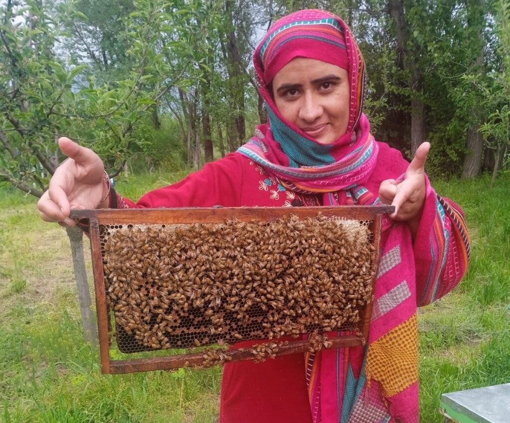 Empowering Lives through Beekeeping