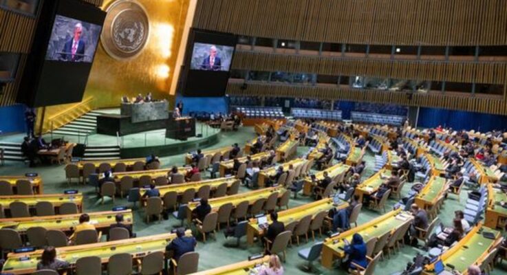 India Votes In Favour Of Palestine To Become Full UN Member