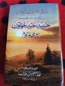 Book Review: Gh Hassan Talib's 'Habiba Habba Khatoon