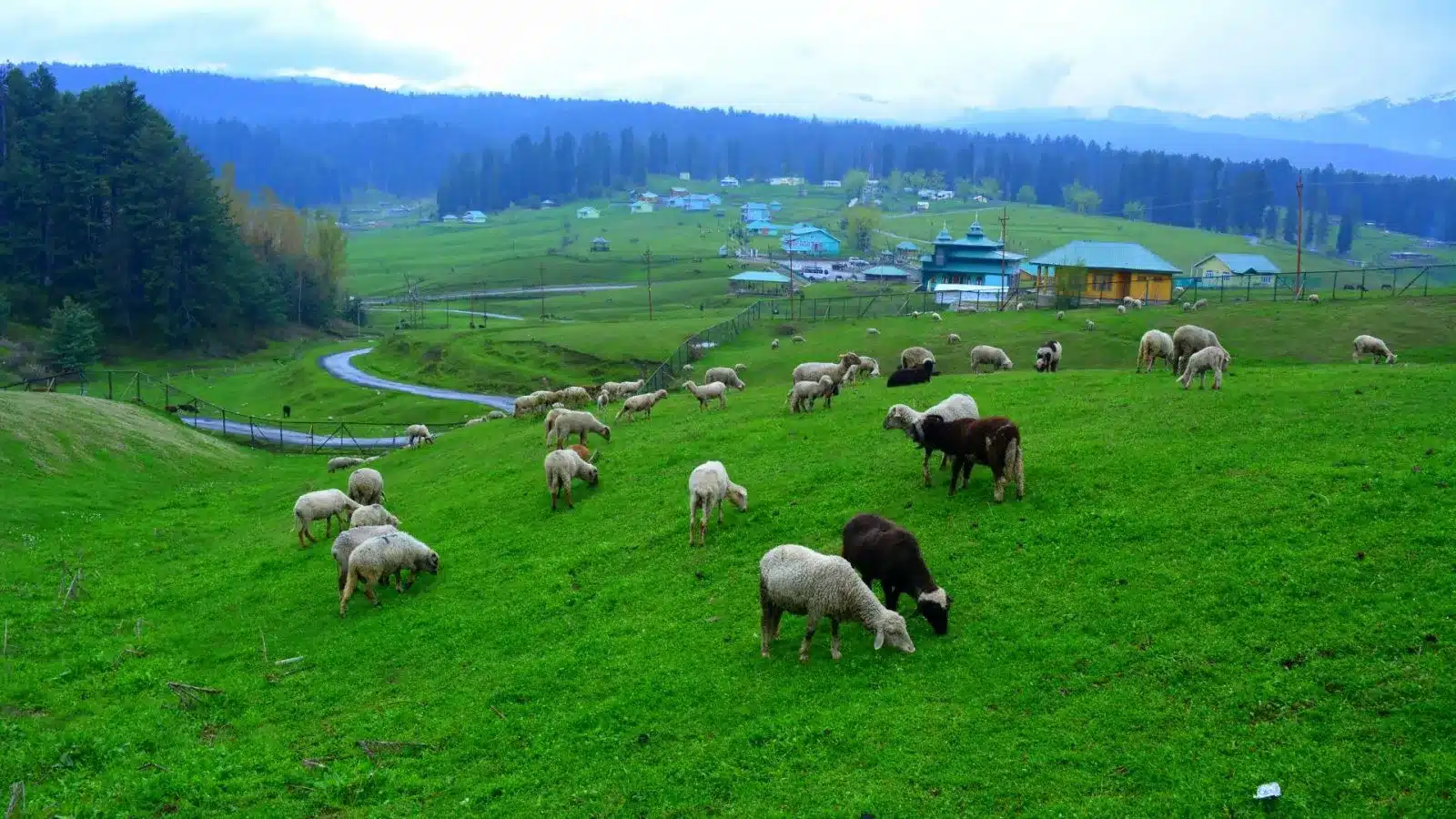 The Valley of Serenity and Charm