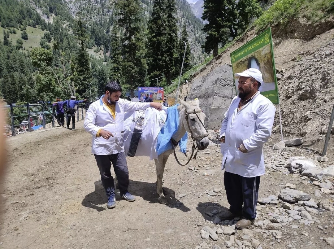 Kashmir's Poney Ambulances