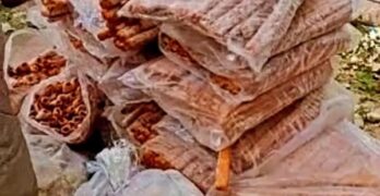 Mutton Rot in Kashmir: A Crisis of Trust, A Call for Responsibility