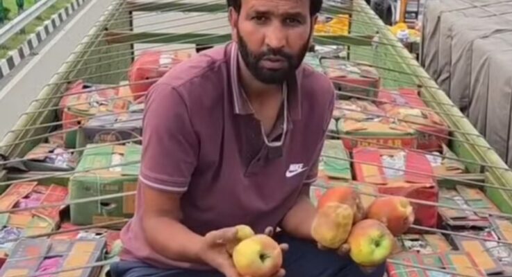 Kashmir’s Apple Nightmare