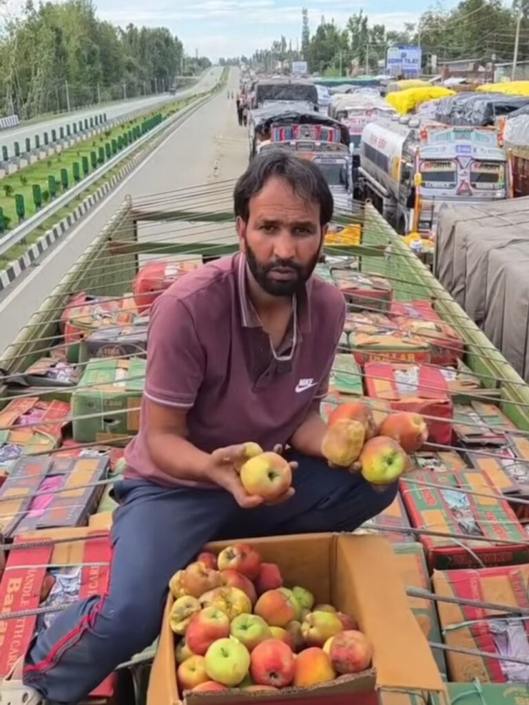 Kashmir’s Apple Nightmare