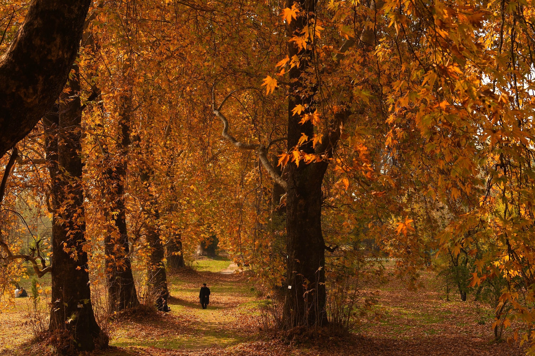 Autumn: That Brings Back the Boy I Was