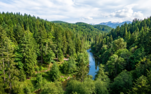 The Green Infrastructure