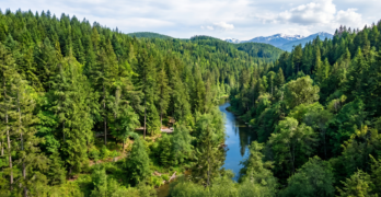 The Green Infrastructure