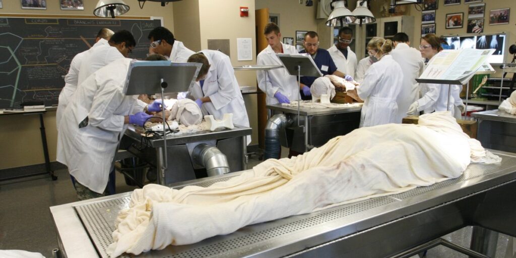 Trust on the Dissection Table